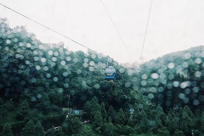 Overhead cable car over trees against sky