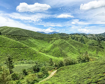 Scenic view of landscape against sky