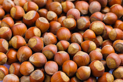 Pile of unpeeled hazelnuts full frame close-up background