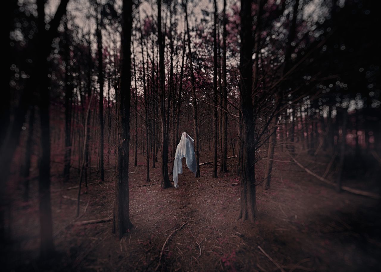 REAR VIEW OF WOMAN WALKING ON PLANTS IN FOREST