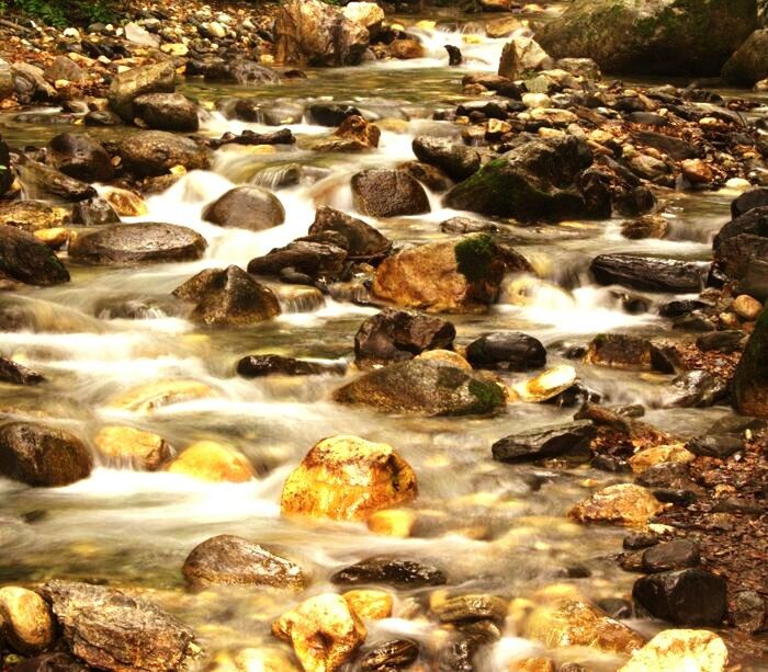 water, rock - object, flowing water, stream, flowing, motion, nature, beauty in nature, scenics, rock, tranquility, long exposure, waterfall, river, stone - object, tranquil scene, stone, forest, rock formation, day