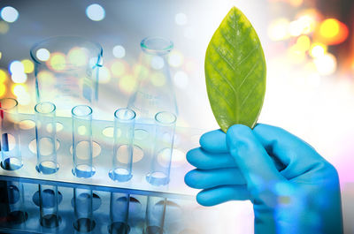 Cropped hand of scientist holding leaf at laboratory