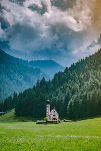 Scenic view of field against sky