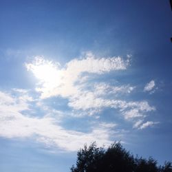 Low angle view of trees against cloudy sky