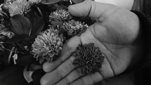 Close-up of hand holding bouquet