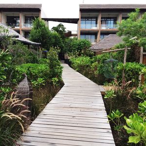 Narrow walkway along trees