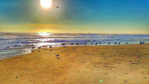 Scenic view of sea at sunset