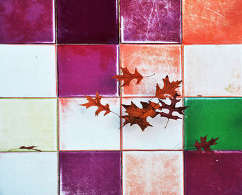 Close-up of maple leaves on tiled floor