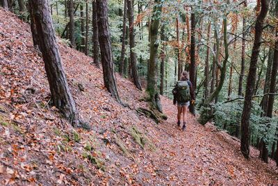 Rear view of person walking on footpath in forest