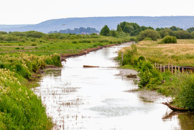 Scenic view of river amidst landscape against sky