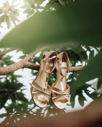 Close-up of shoes on plant