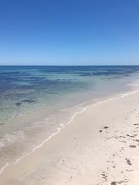 Scenic view of beach against clear blue sky with pelican 