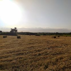 Hay bales on field against sky