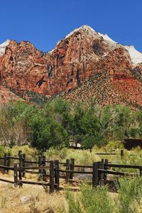 Plants growing on rocks against clear sky
