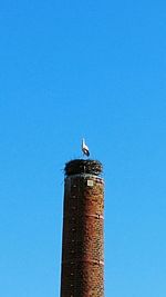 Low angle view of bird perching on a building