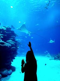 Silhouette man swimming in aquarium