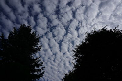 Low angle view of trees against cloudy sky