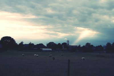 Scenic view of landscape against cloudy sky