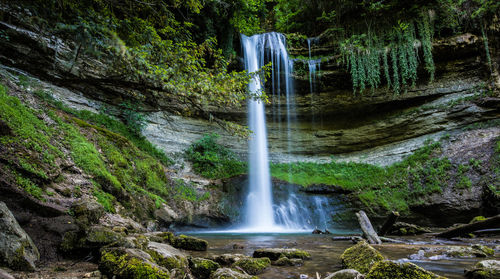 Scenic view of waterfall in forest