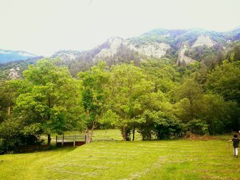 Scenic view of green landscape and mountains against clear sky