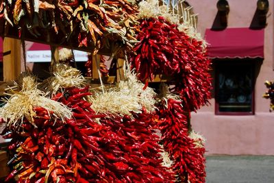 Close-up of red chili peppers hanging at market stall