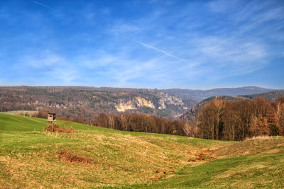 Scenic view of field against sky