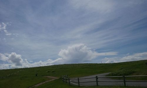 Scenic view of grassy field against sky