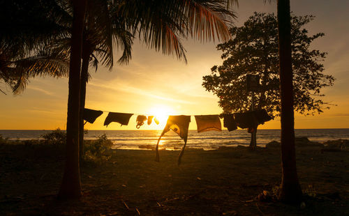 Silhouette tree on beach against sky during sunset