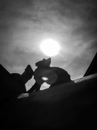 Low angle view of silhouette cat against sky