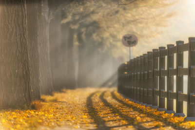 Road by fence on field