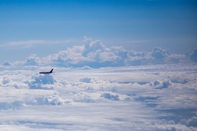 Airplane flying in sky