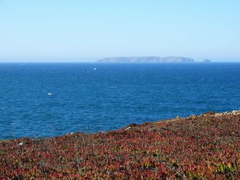 Scenic view of sea against clear sky