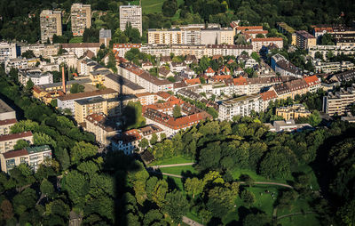 High angle view of trees on field