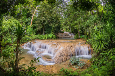 View of waterfall in forest