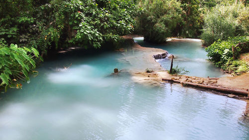 High angle view of man in river