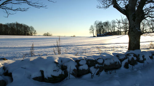 Snow covered field