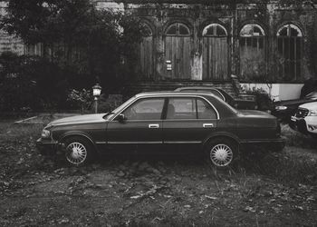 Cars parked in parking lot