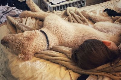 High angle view of teenage girl with dog sleeping on bed at home