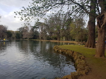 Scenic view of lake in forest against sky