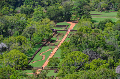 High angle view of railroad tracks amidst trees in forest