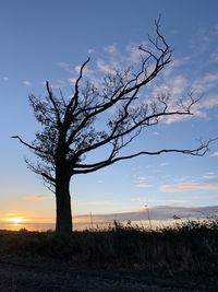 Silhouette bare tree on field against sky during sunset