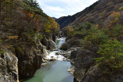 River amidst rocks in forest against sky