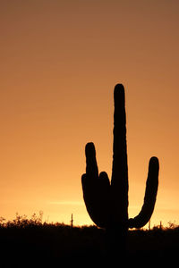 Silhouette cactus on field against clear sky during sunset