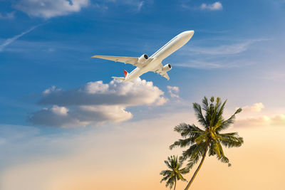 Low angle view of palm tree against sky