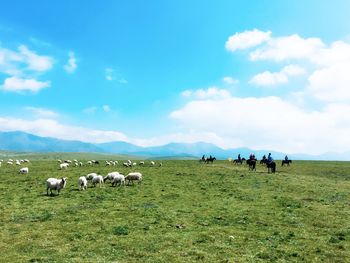 Sheep grazing while people horseback riding on field against sky