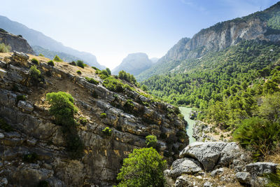 Gorge of the gaitanes in ardales, malaga, spain