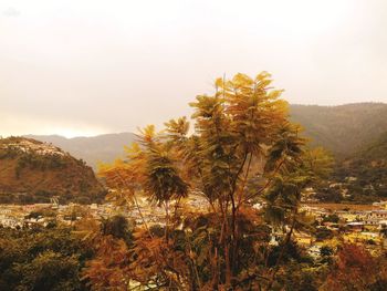 Scenic view of trees and mountains against sky