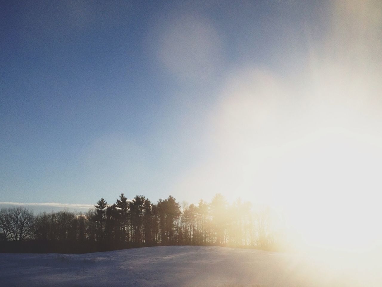 snow, winter, cold temperature, tranquility, sun, tree, tranquil scene, landscape, field, season, nature, beauty in nature, weather, scenics, clear sky, sunlight, sky, sunbeam, covering, copy space