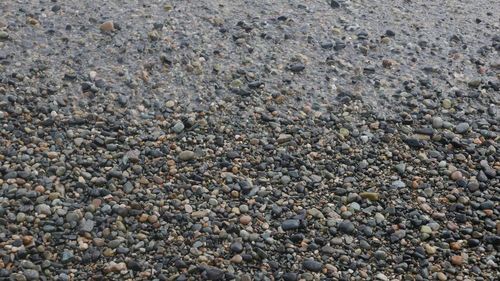 Surface level of pebble beach