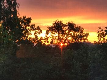 Silhouette trees against sky during sunset